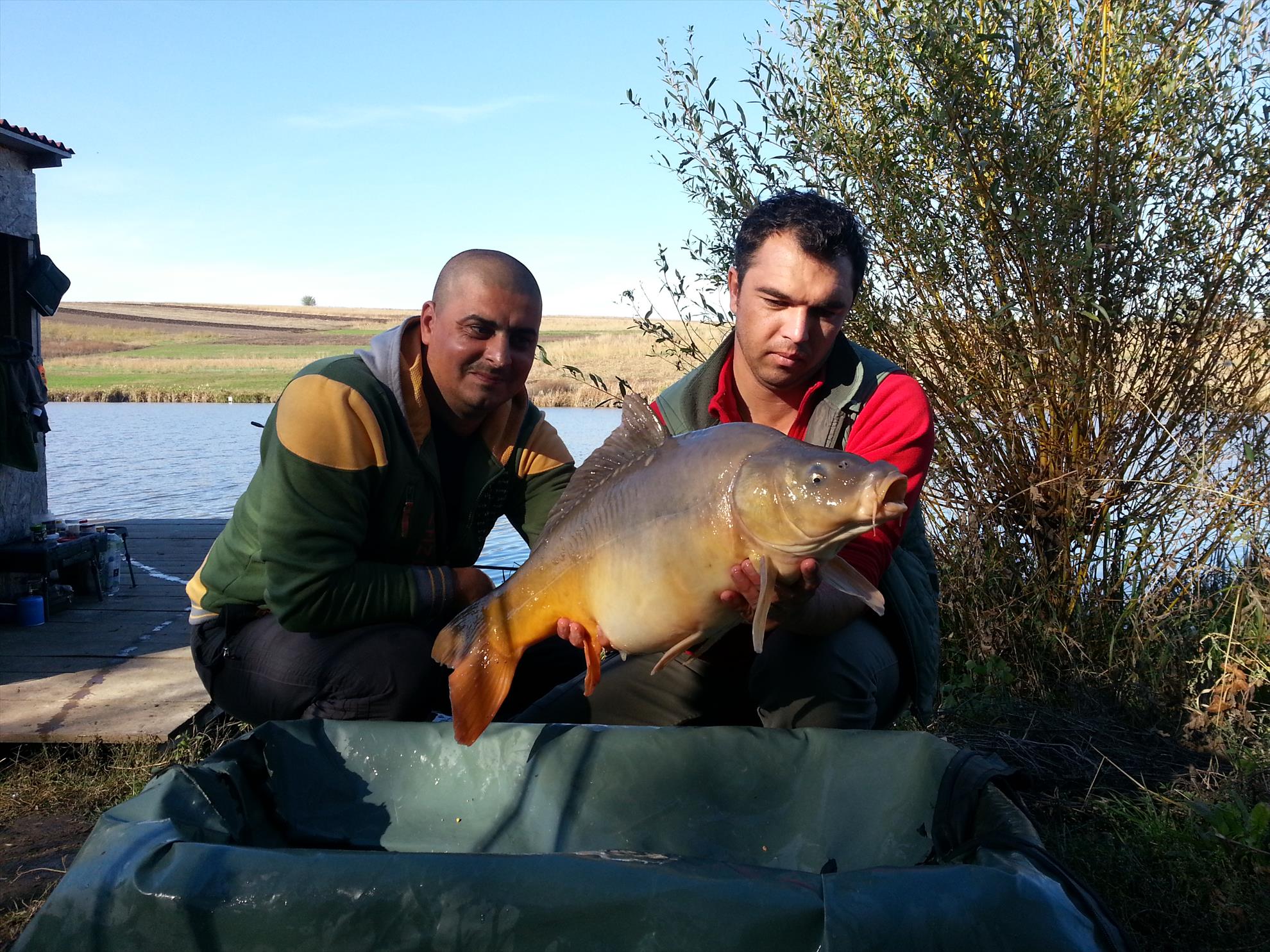 Concurs Magura 9 19 - 20 oct. - 20131020153008.jpg